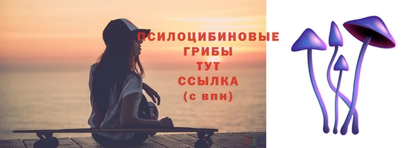 бошки Дмитровск
