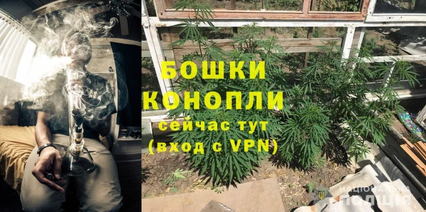 ПСИЛОЦИБИНОВЫЕ ГРИБЫ Волосово