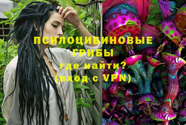 ПСИЛОЦИБИНОВЫЕ ГРИБЫ Волосово