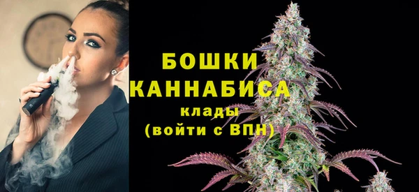 ПСИЛОЦИБИНОВЫЕ ГРИБЫ Волосово