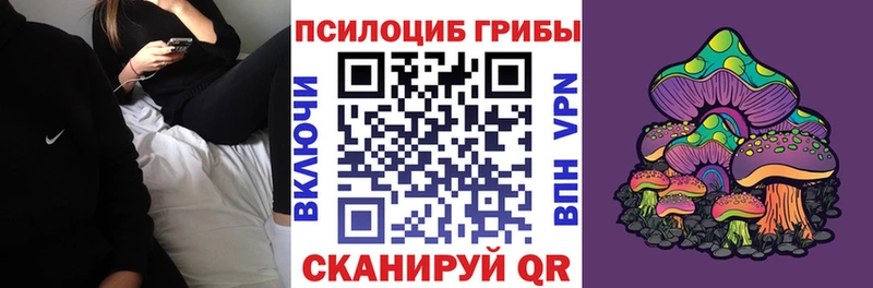 Псилоцибиновые грибы Psilocybine cubensis Людиново